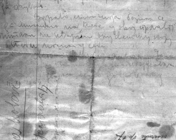 List Hildy Dajc; własność Żydowskiego Muzeum Historycznego w Belgradzie