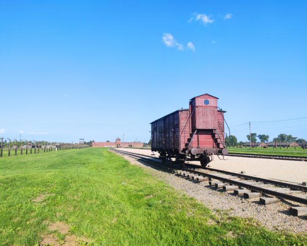 Auschwitz-Birkenau; Autor: Tomasz Cebulski