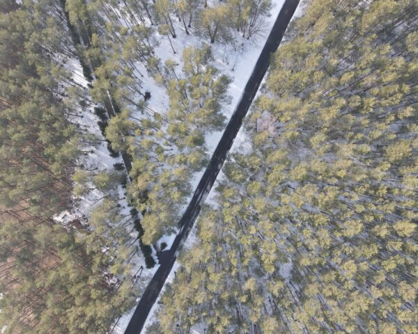 The site of the former death camp in Sobibór; author: Tomasz Cebulski